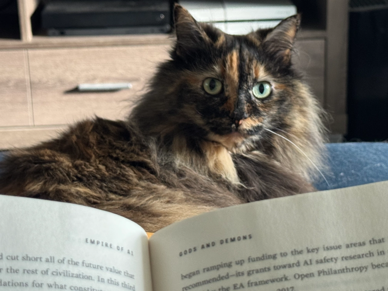 The queen of kitties, Luna, looks on with her glowing green and yellow eyes as I read through Karen Hao's Empire of AI. I'm in the Gods and Demons chapter.